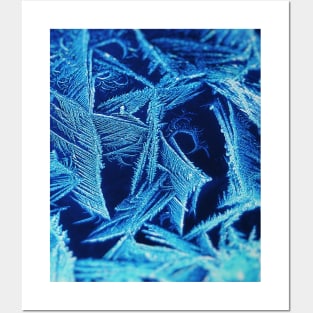 Ice Crystals Winter Posters and Art
